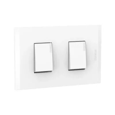 INTERRUPTOR UNIPOLAR DOBLE 10A-250V ARENA C/ PLACA ARENA